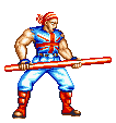 Fatal Fury 2